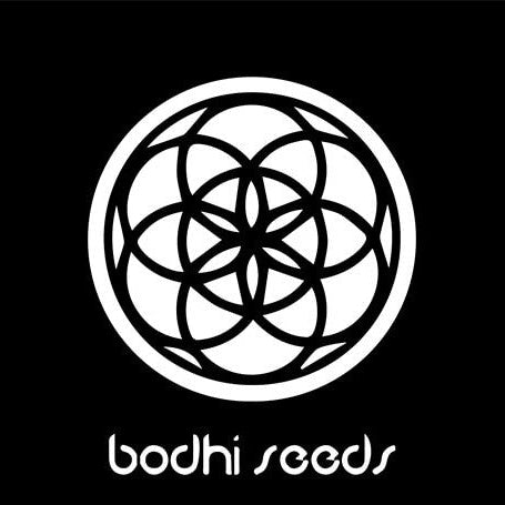 Bodhi Seeds - 2022 Love Gift