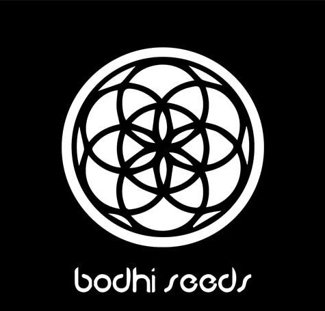 Bodhi Seeds