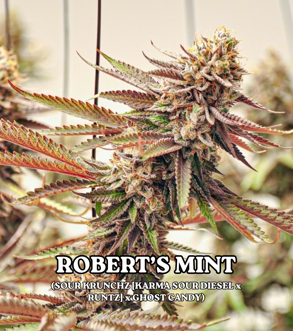 ROBERT'S MINT