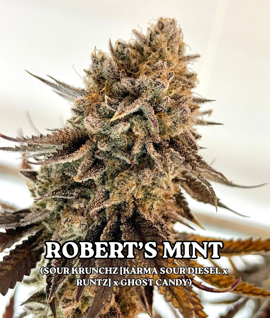 ROBERT'S MINT