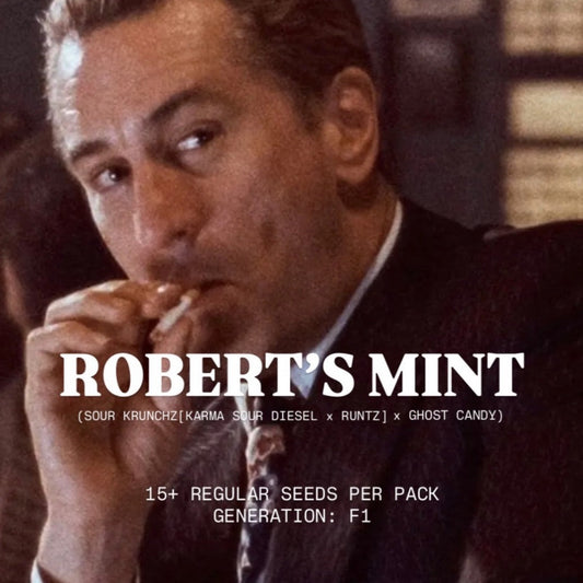 T-REX - ROBERT'S MINT