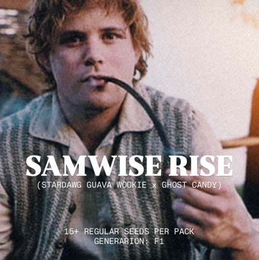 T-REX - SAMWISE RISE