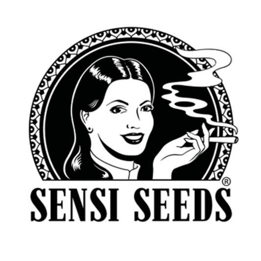 Sensi Seeds - Jack Herer